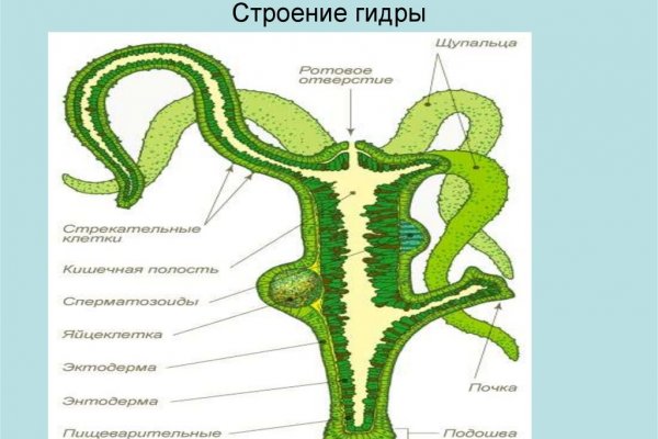 Darknet ссылки