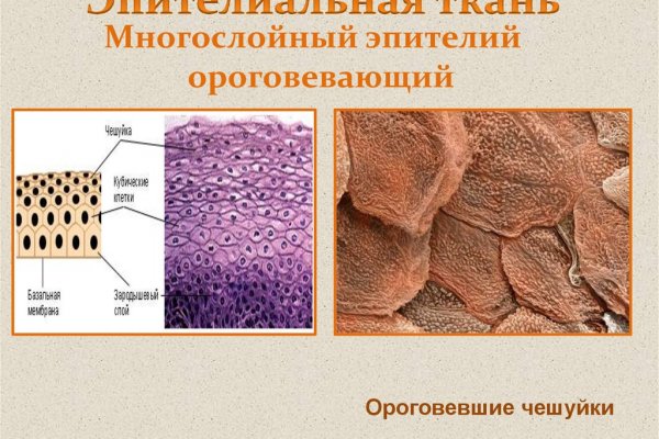 Почему не закрыт сайт кракен